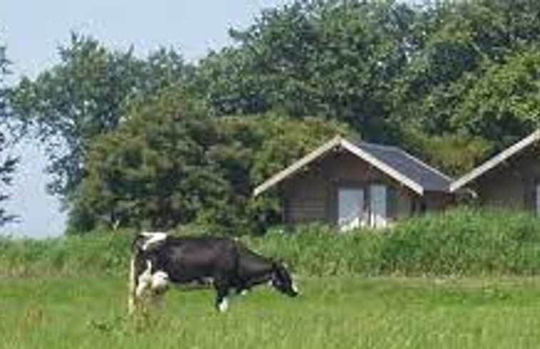 Natuurhuisje in Nijhuizum