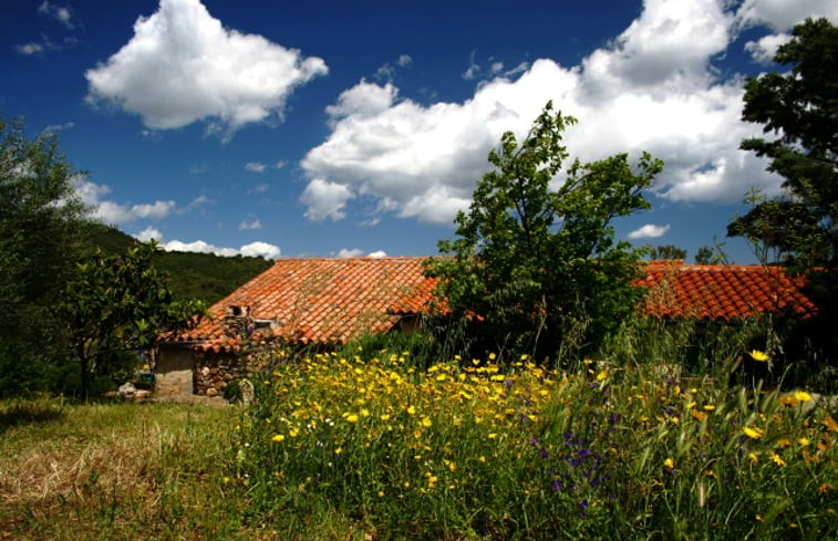 Natuurhuisje in Franculacciu