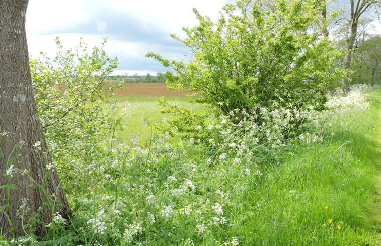 Natuurhuisje in Eernewoude