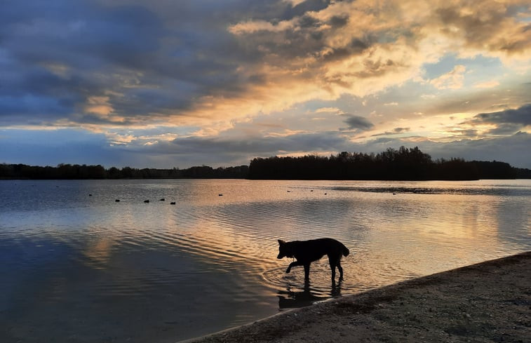 Natuurhuisje in Langenboom