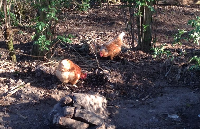 Natuurhuisje in Warmsen