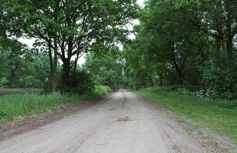 Natuurhuisje in Uffelte