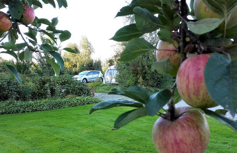 Natuurhuisje in De Krim