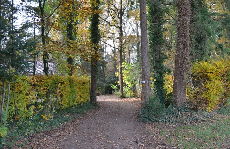 Natuurhuisje in Joppe