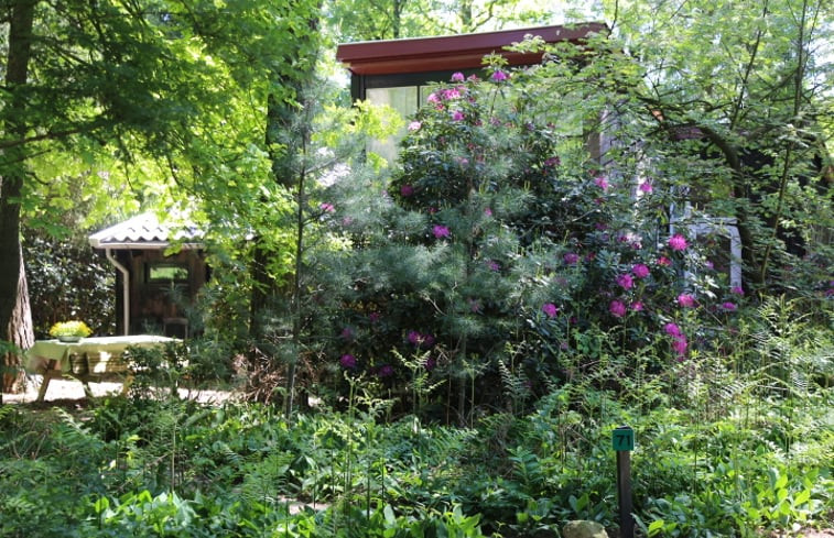 Natuurhuisje in Stegeren