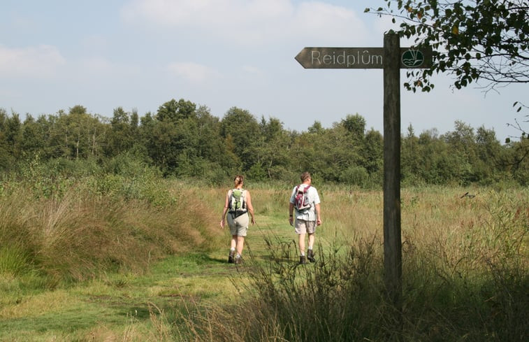 Natuurhuisje in Twijzelerheide