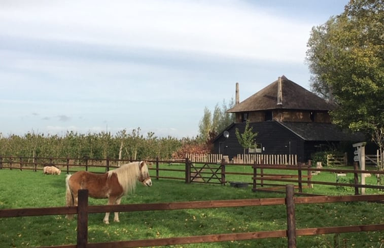 Natuurhuisje in Zoelen