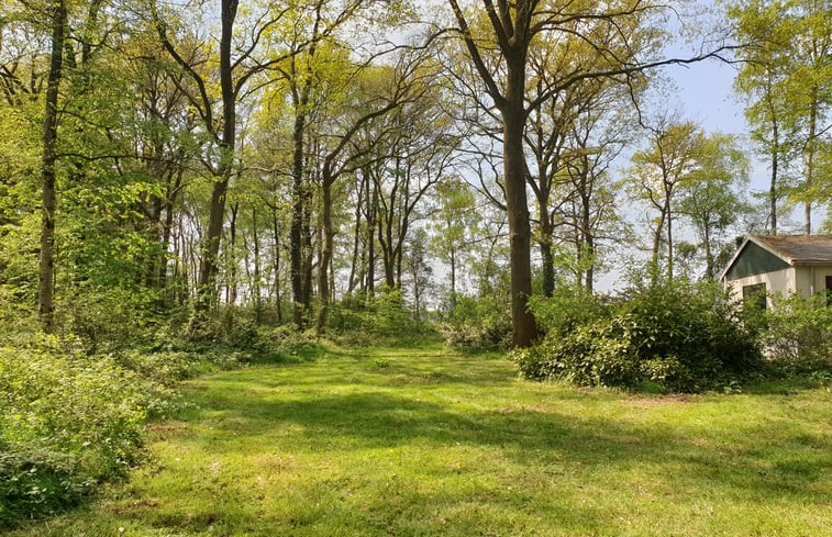 Natuurhuisje in Winterswijk Ratum