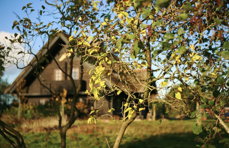 Natuurhuisje in de Bokkebuurt