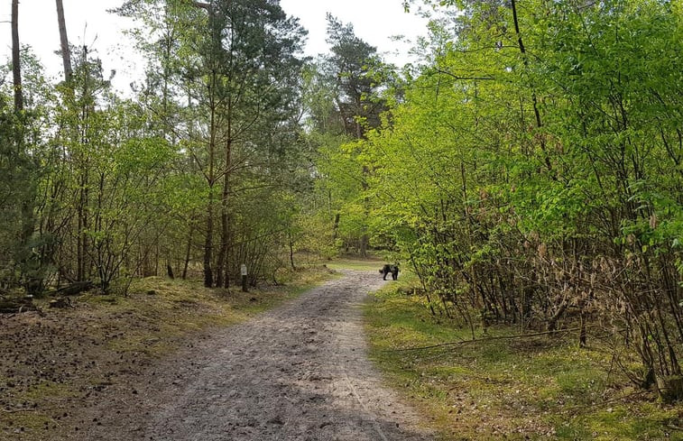 Natuurhuisje in Doornspijk