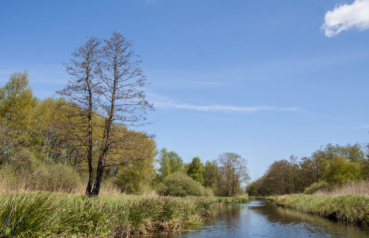 Natuurhuisje in Scherpenzeel