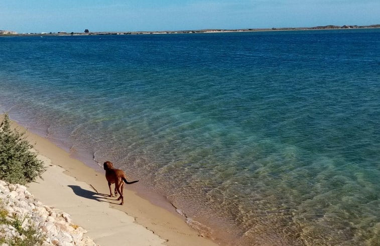 Natuurhuisje in Mexilhoeria Grande - Portimao