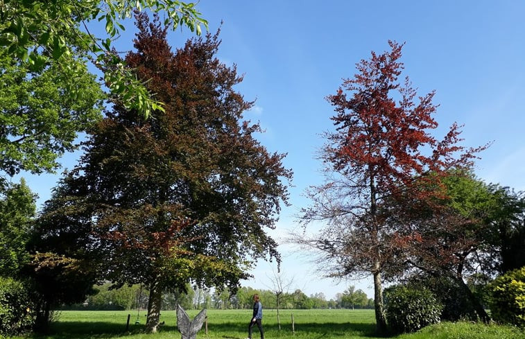 Natuurhuisje in Mariënvelde