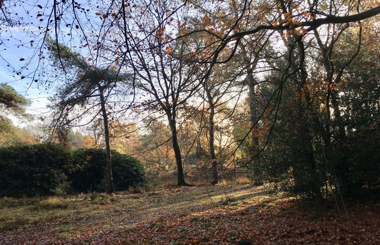 Natuurhuisje in Een