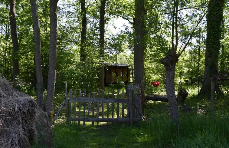 Natuurhuisje in Tielt-Winge