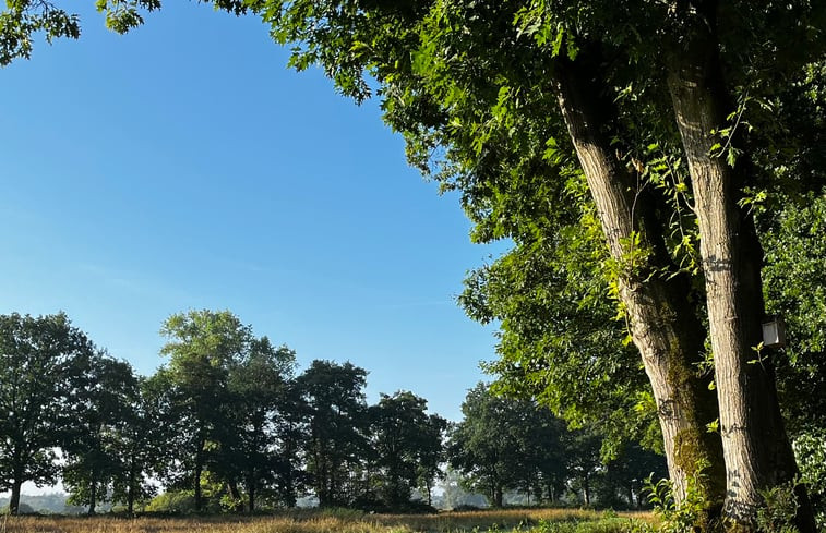 Natuurhuisje in Doldersum