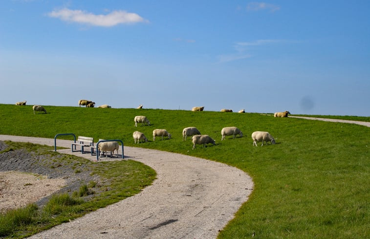 Natuurhuisje in Oosterend Terschelling