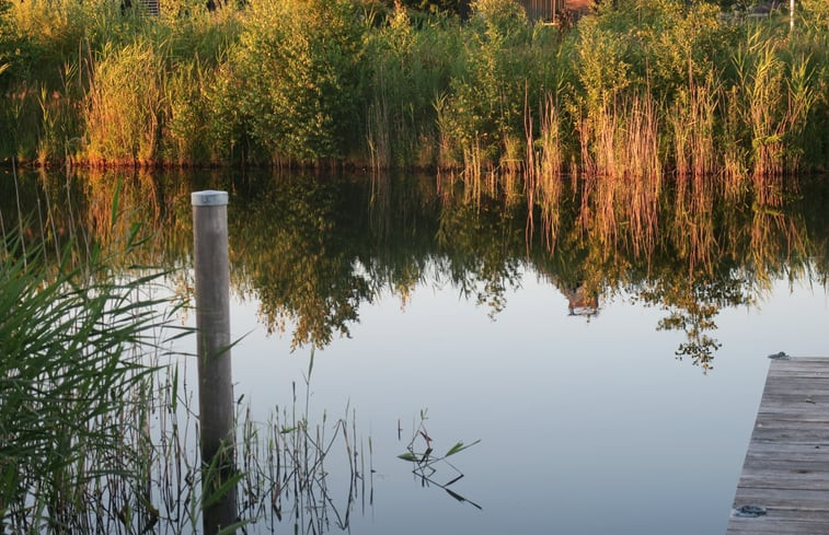 Natuurhuisje in Sint Nicolaasga