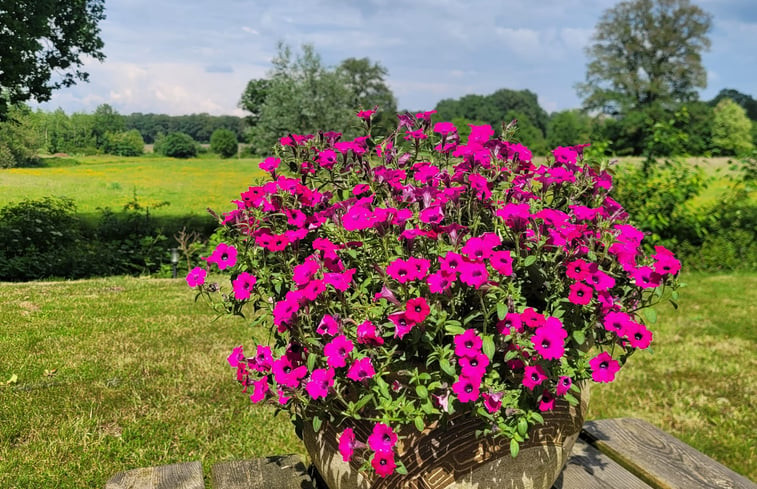 Natuurhuisje in Giethmen