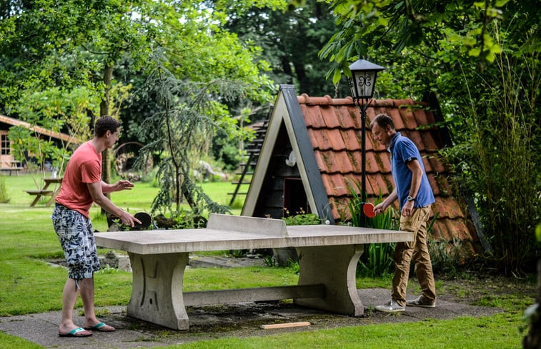 Natuurhuisje in Boijl