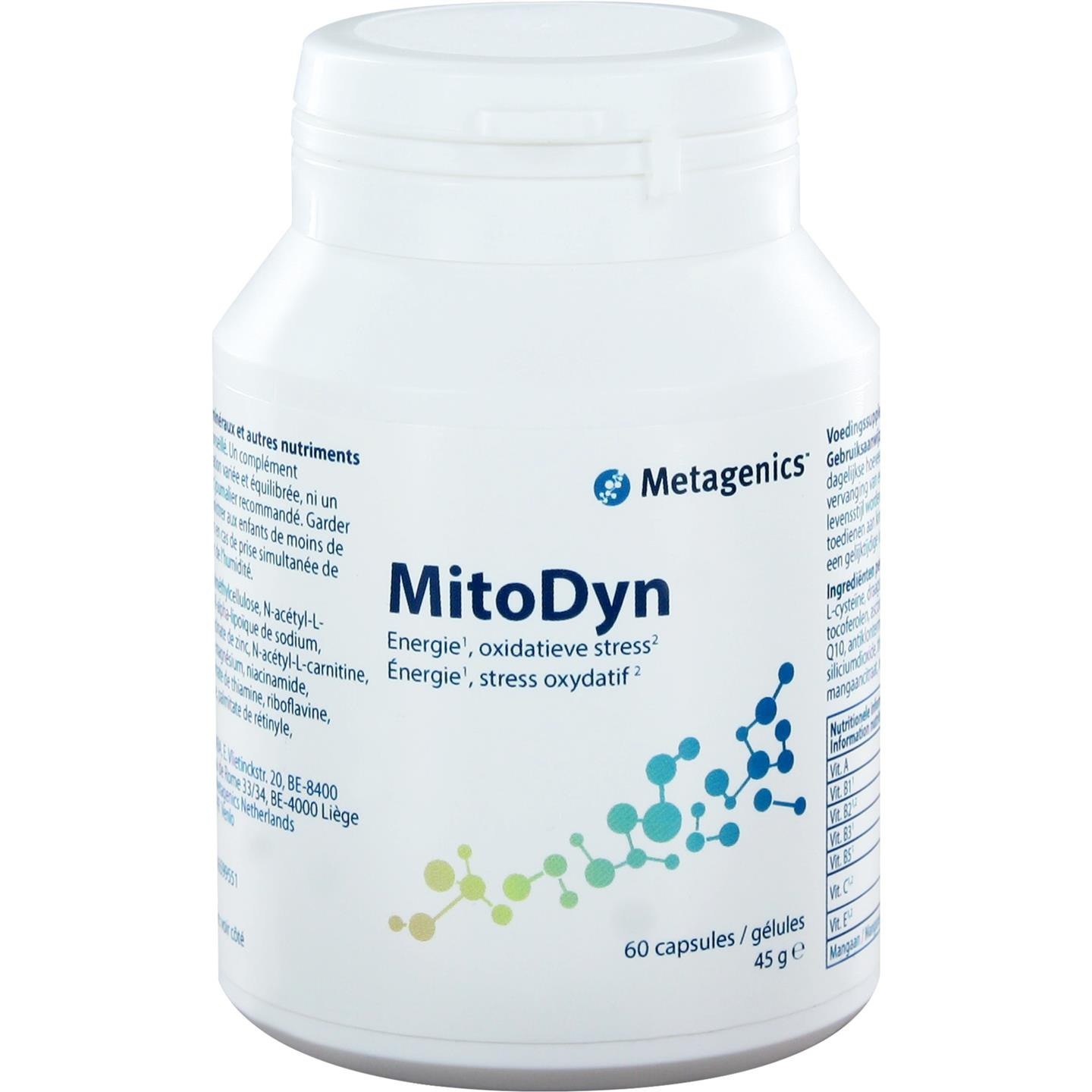 MitoDyn