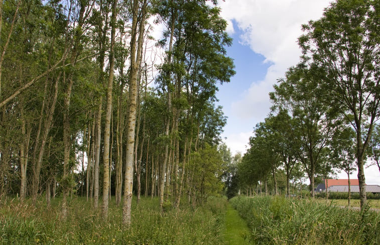 Natuurhuisje in Jislum