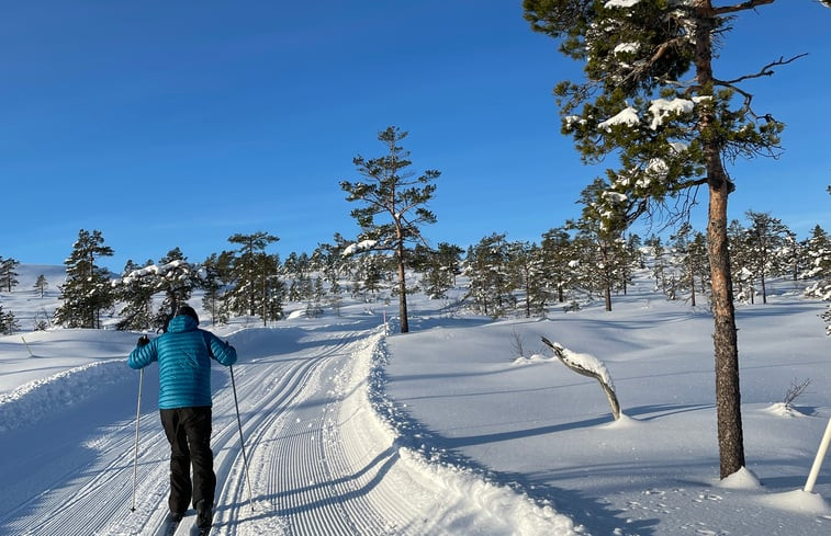 Natuurhuisje in Vrådal