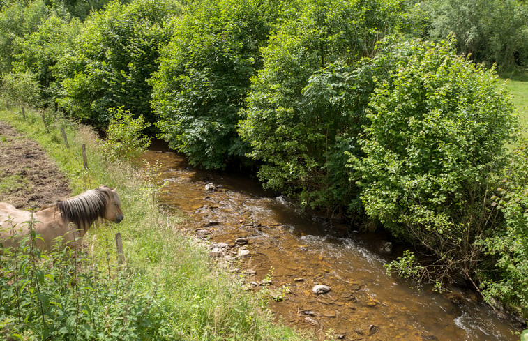 Natuurhuisje in Lierneux