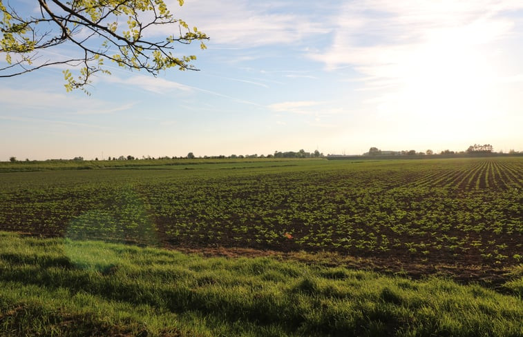 Natuurhuisje in Wolphaartsdijk