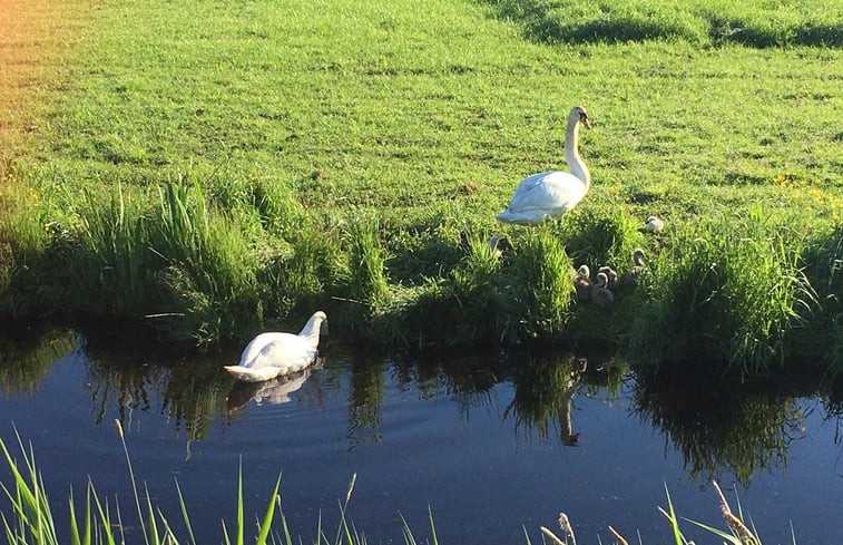 Natuurhuisje in Tijnje