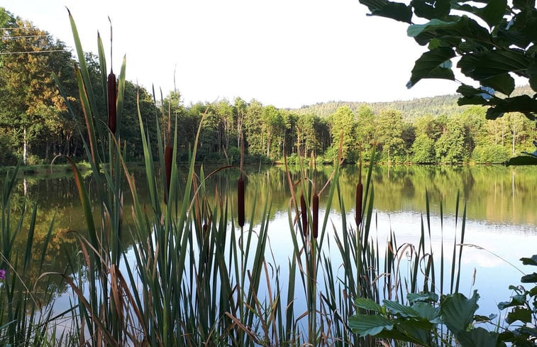 Natuurhuisje in Weidenberg