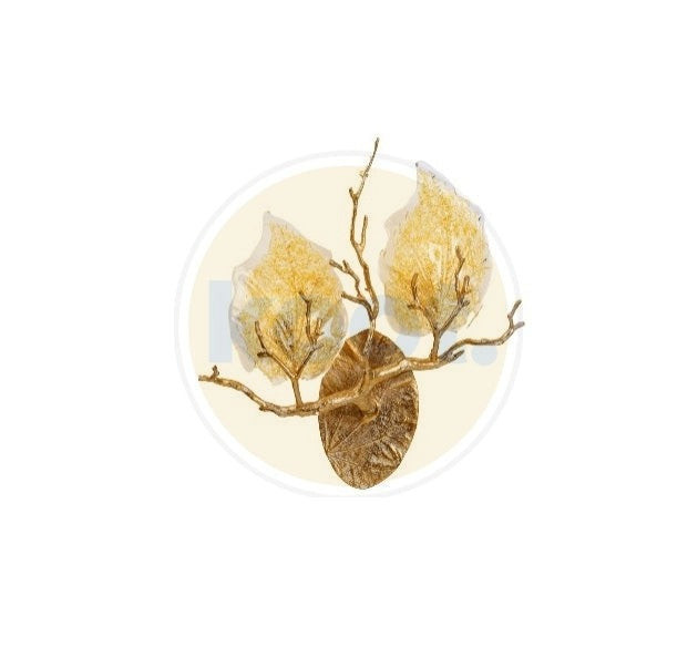 Serip - Ficus Left wandlamp