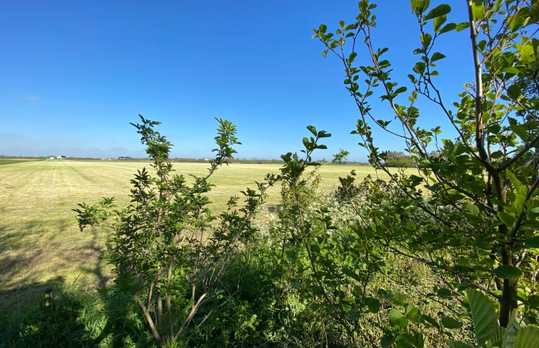 Natuurhuisje in De Koog