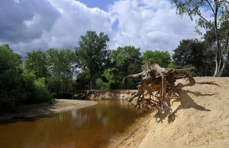 Natuurhuisje in de Lutte