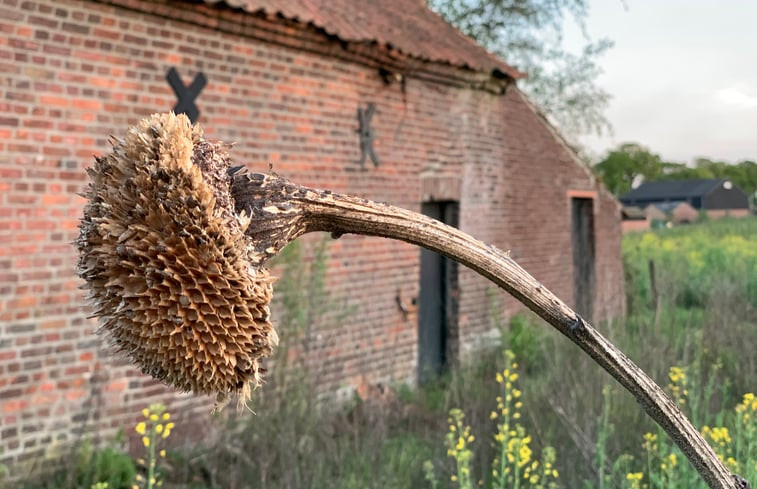 Natuurhuisje in Grathem