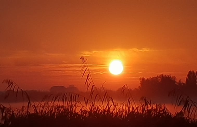 Natuurhuisje in Schipluiden