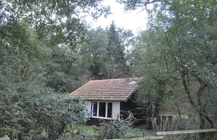 Natuurhuisje in Maashees