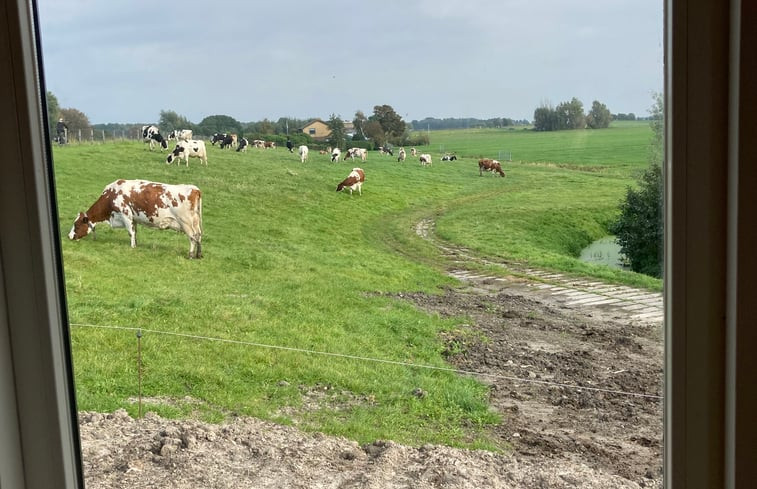 Natuurhuisje in Leidschendam