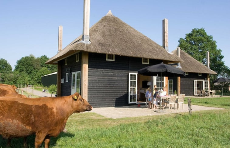 Natuurhuisje in Wierden