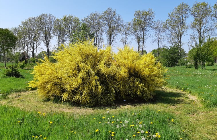 Natuurhuisje in Heeswijk - Dinther