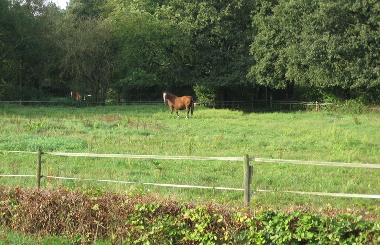 Natuurhuisje in Heeze