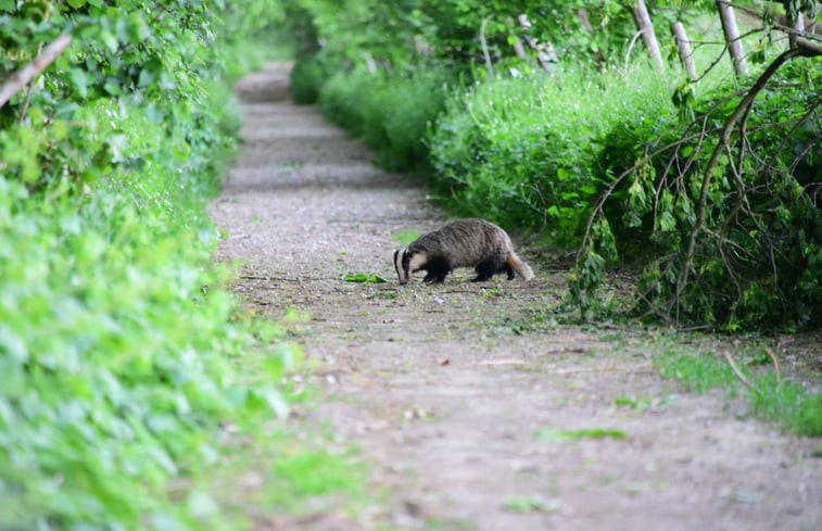 Natuurhuisje in Banholt