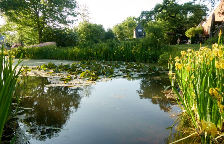 Natuurhuisje in Grolloo