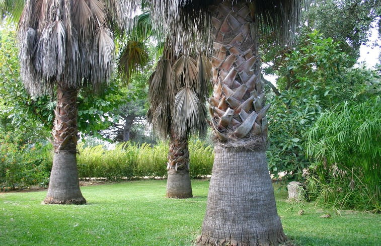 Natuurhuisje in La Muela, Vejer de la Frontera