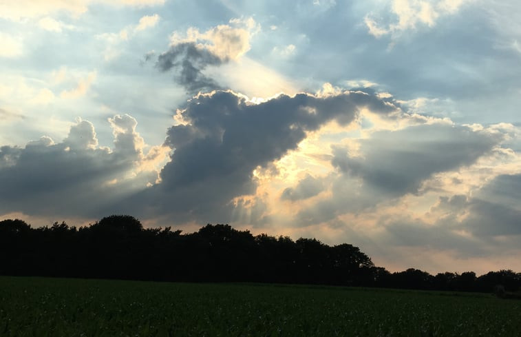 Natuurhuisje in Riel