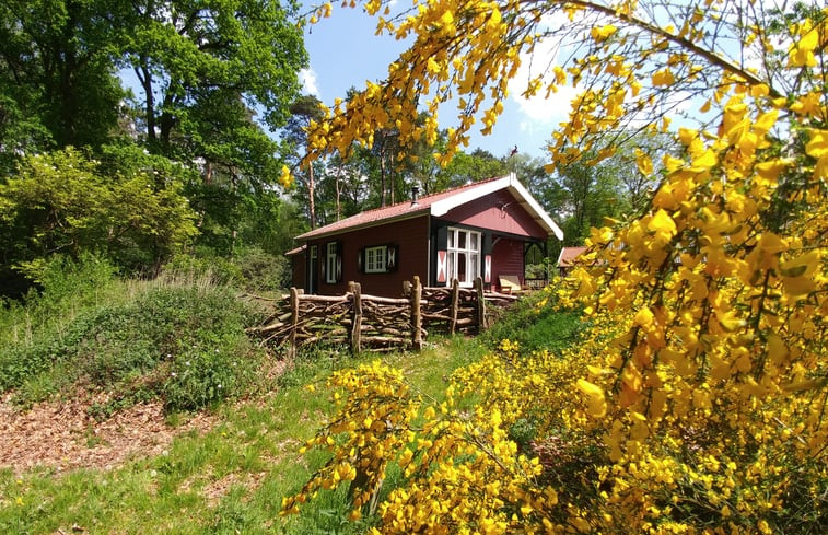 Natuurhuisje in Okkenbroek