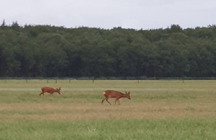 Natuurhuisje in Grolloo