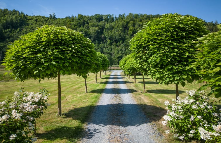 Natuurhuisje in La roche-en-ardenne