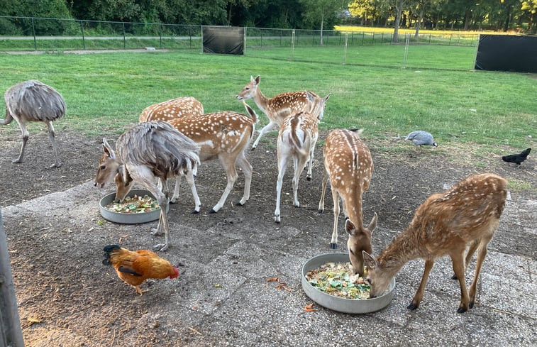 Natuurhuisje in Weerselo