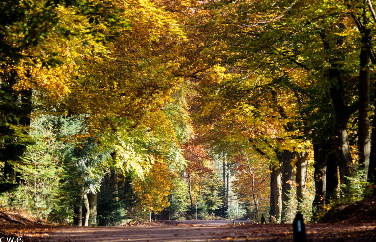 Natuurhuisje in Epe